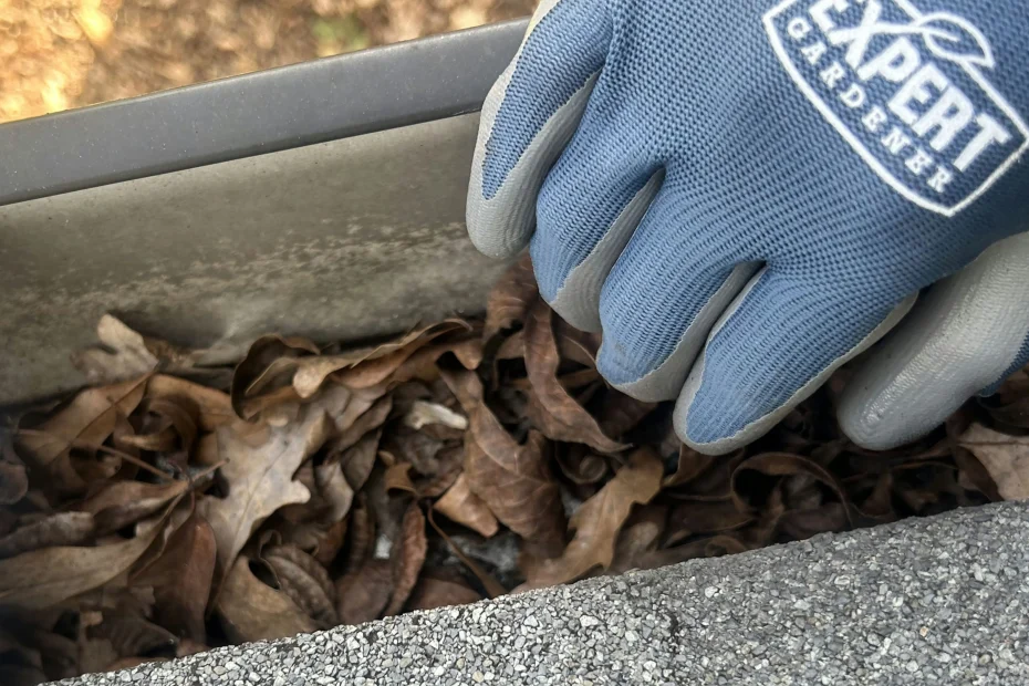 Gutter Cleaning Rolesville