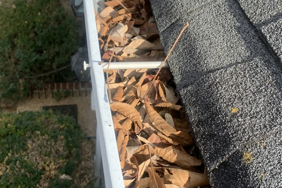 Gutter Cleaning Rolesville