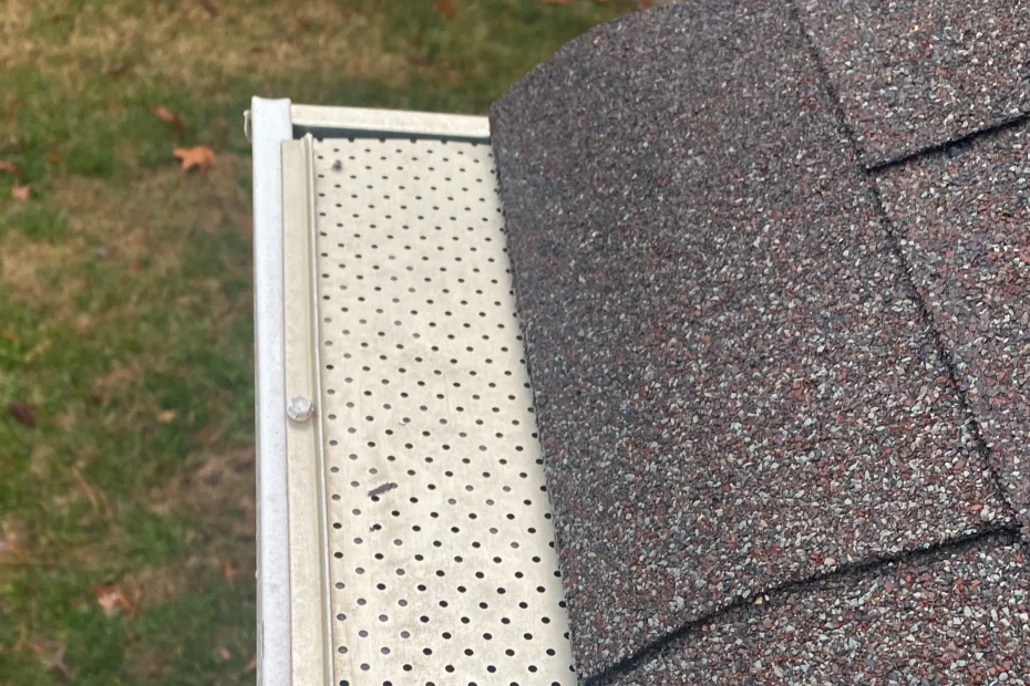 Gutter Cleaning Rolesville