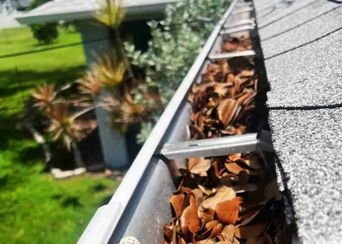 Gutter Cleaning Rolesville home page